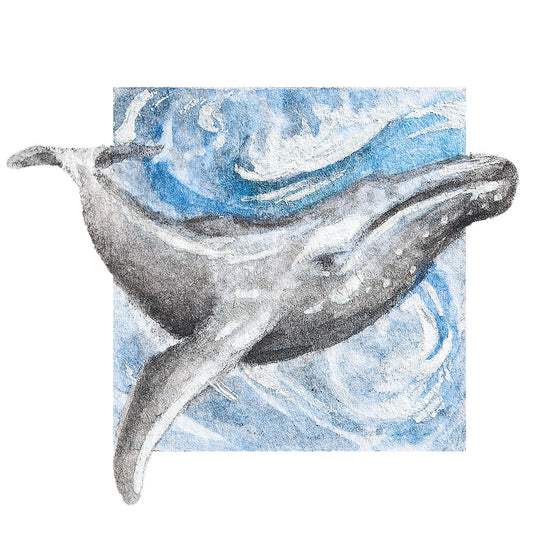 Whale Mini Sticker