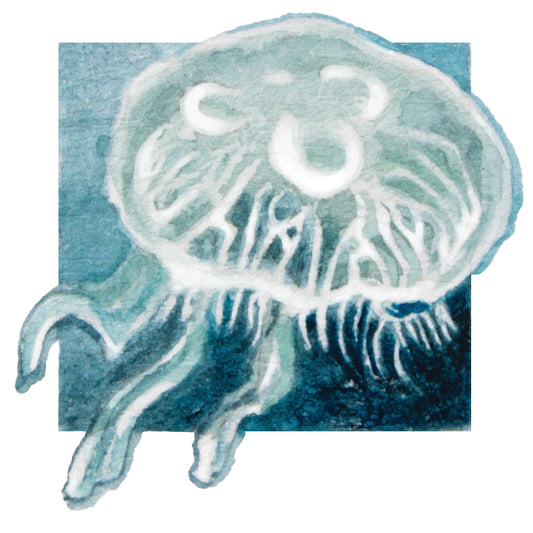 Jellyfish Mini Sticker