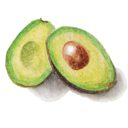 Avocado Mini Sticker