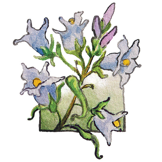 Bluebell Mini Sticker