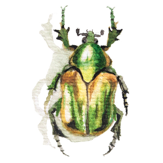 June Bug Mini Sticker