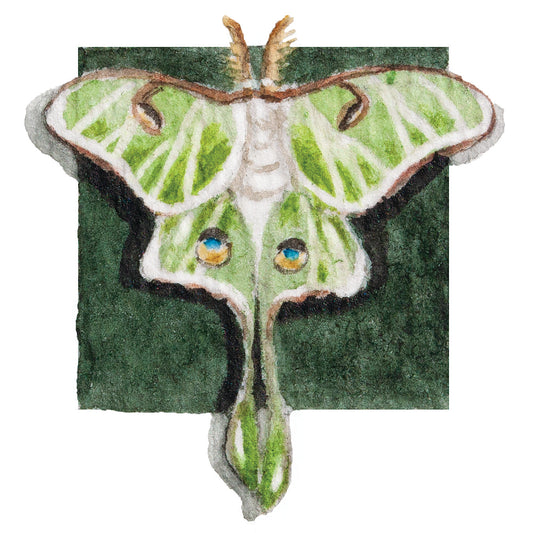 Luna Moth Mini Sticker