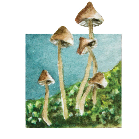 Mossy Mushroom MIni Sticker